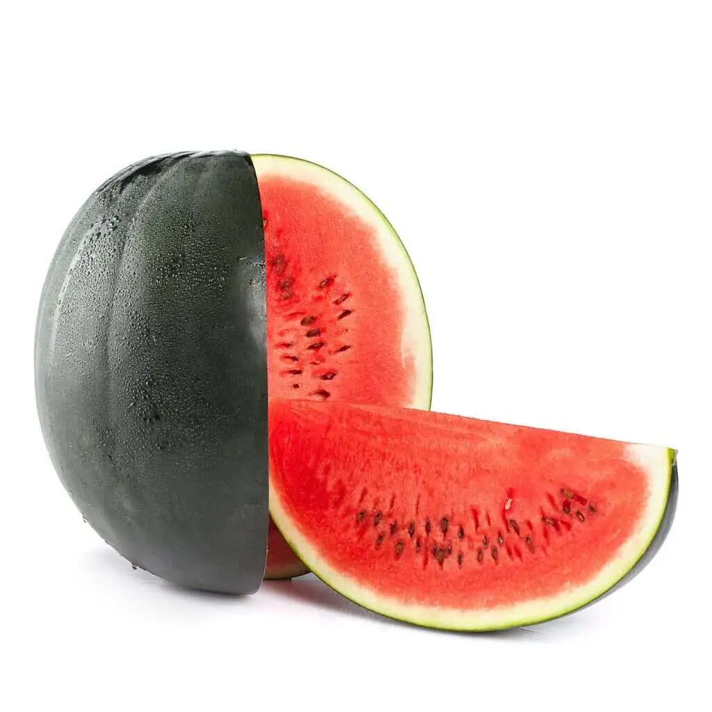 Karpuz Siyah Karpuz Siyah