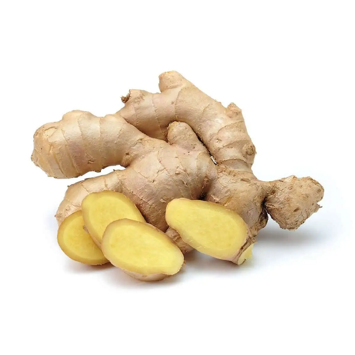 Zencefil Zencefil